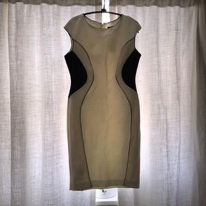 Ann Taylor Dress